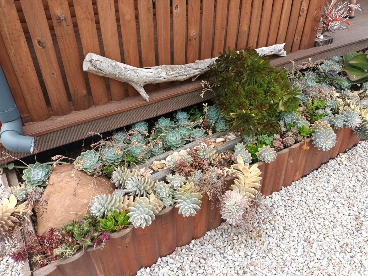 Chameleon Lodge Colchester Dış mekan fotoğraf